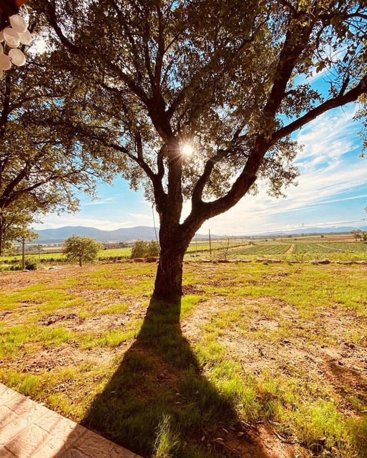 When In Maremma Apartment Alberese Exterior photo